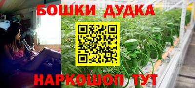 индика Кулебаки