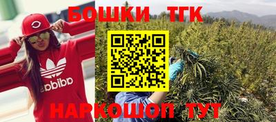 индика Кулебаки