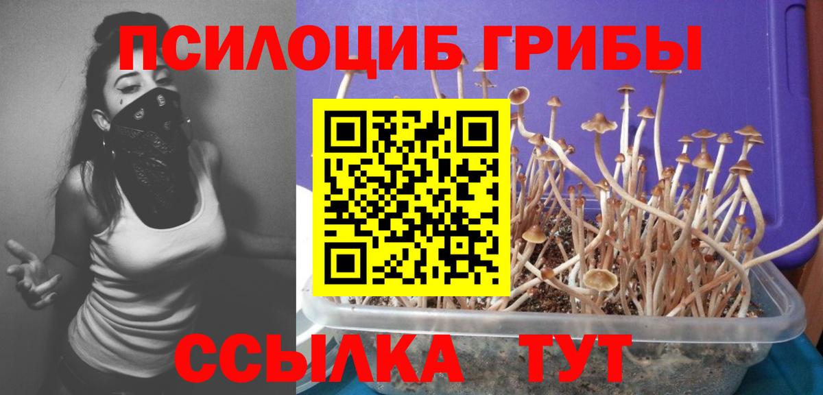Галлюциногенные грибы Psilocybine cubensis  Вход с VPN  Ессентуки 